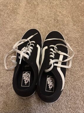 Vans Black and White Low-Top Skate Sneakers